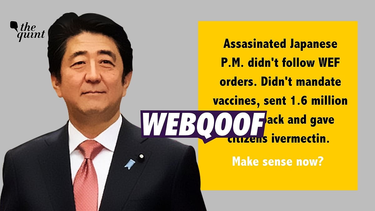 <div class="paragraphs"><p>The shooter confessed that he had committed the crime due to a grudge against late Japan PM Shinzo Abe.</p></div>