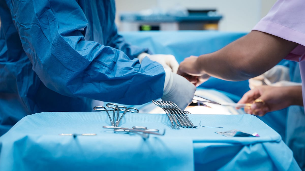 <div class="paragraphs"><p>Pig heart transplanted successfully in 2 brain-dead patients (representational image).</p></div>