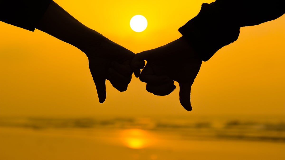 <div class="paragraphs"><p>Sexolve 311: My Husband is HIV positive, my boyfriend is a cheater, after all these years I realise I'm gay</p></div>