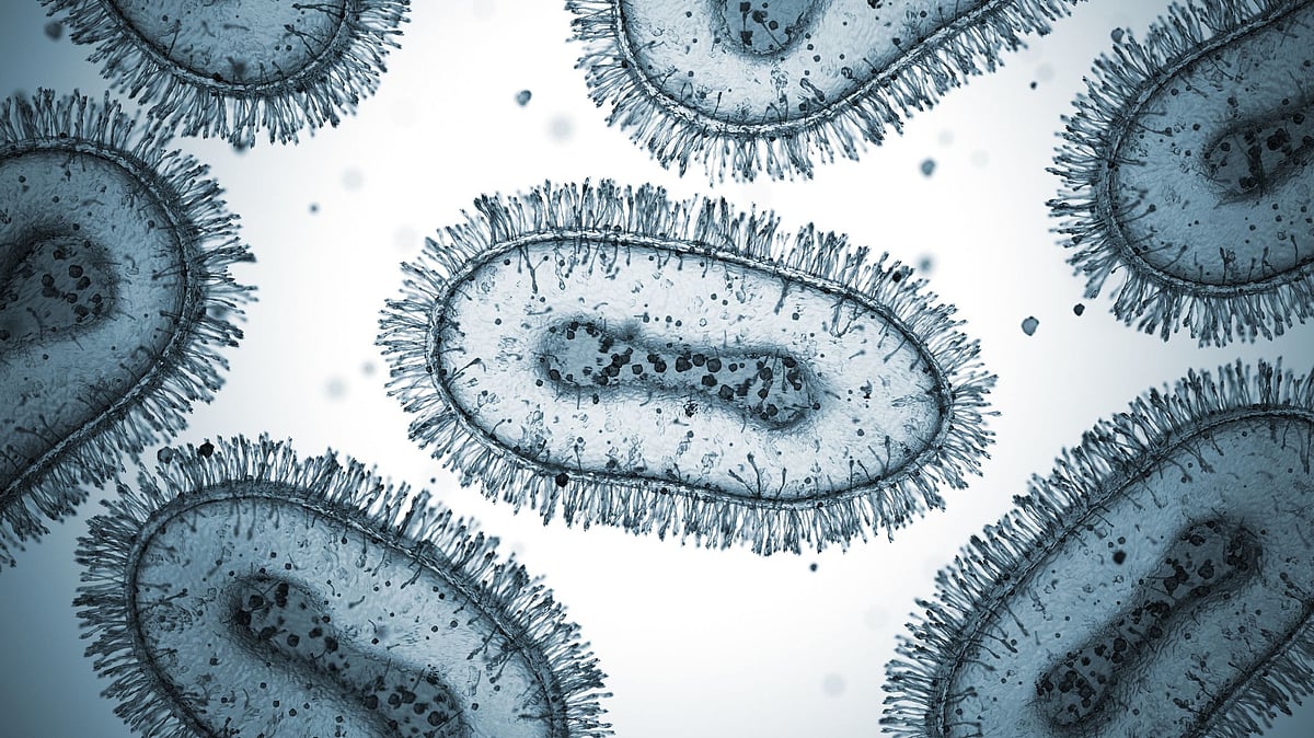 <div class="paragraphs"><p>The World Health Organization declared Monkeypox a global emergency in July 2022.</p></div>