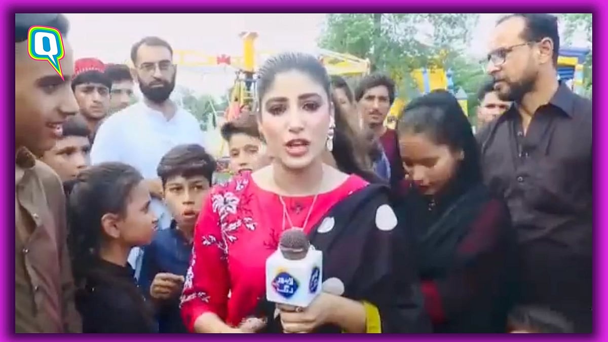 <div class="paragraphs"><p>Pakistani journalist slaps boy who interrupted him.</p></div>
