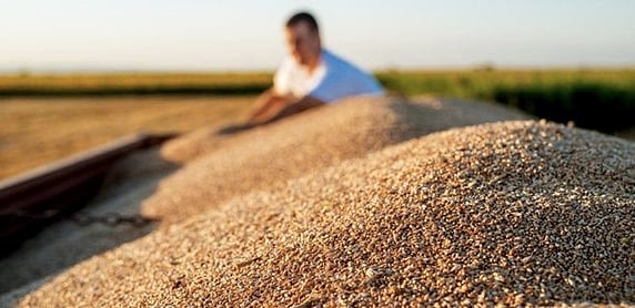 <div class="paragraphs"><p>Ukrainian grain has been trapped by a Russian blockade.</p></div>