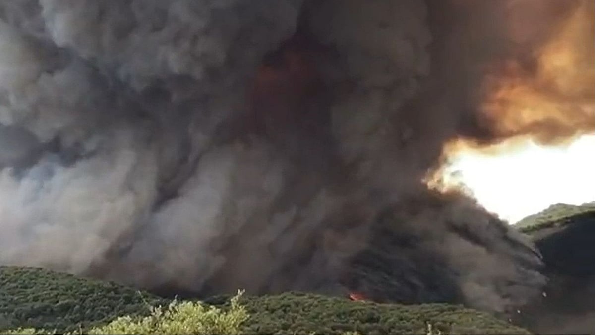 <div class="paragraphs"><p>Wildfires triggered by a record-breaking heatwave in Europe, continued to ravage <a href="https://www.thequint.com/topic/france">France</a>, <a href="https://www.thequint.com/topic/spain">Spain</a> and <a href="https://www.thequint.com/topic/portugal">Portugal</a> on Sunday, 17 July, forcing thousands to evacuate their homes.</p></div>