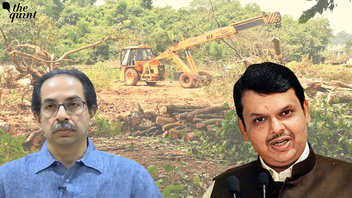 <div class="paragraphs"><p>Soon after Eknath Shinde&nbsp;was sworn in as the chief minister of Maharashtra,&nbsp;the new Cabinet  overturned some key decisions of former CM Uddhav Thackeray, including the shifting of the controversial metro 3 car shed out of the Aarey Milk colony.</p></div>
