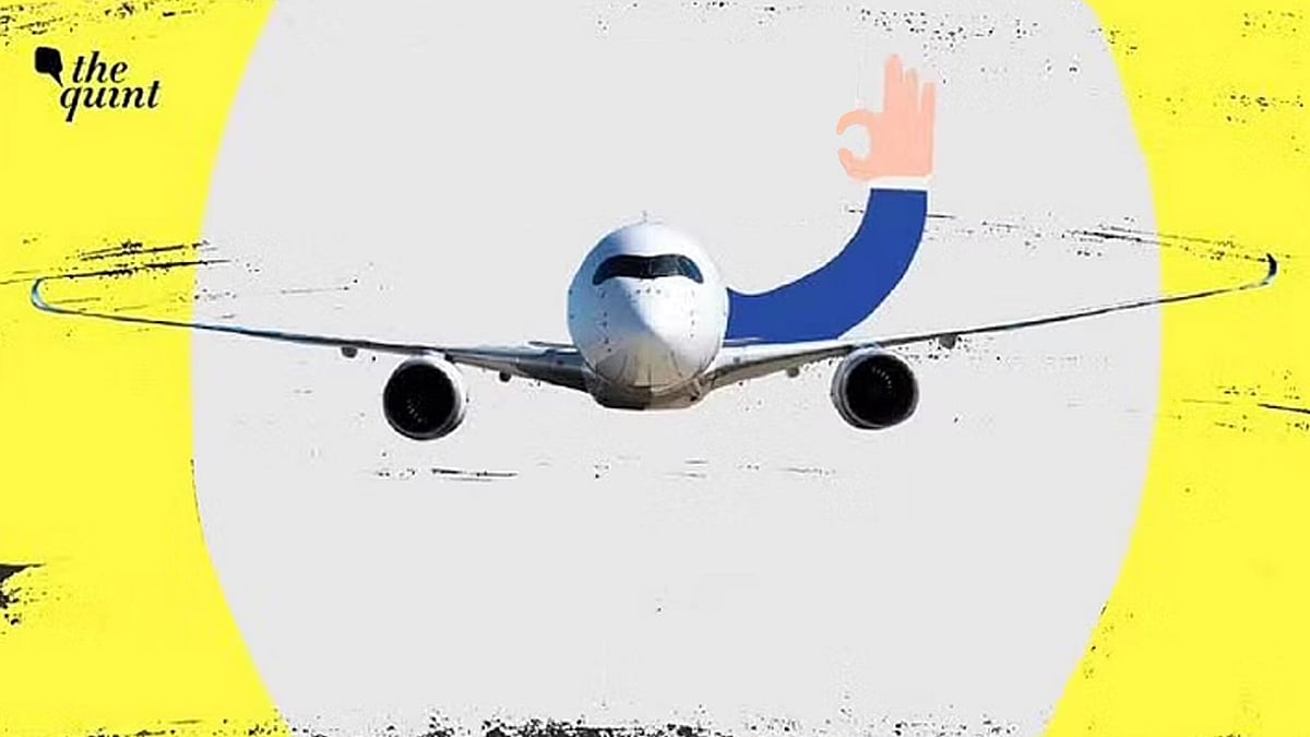 <div class="paragraphs"><p>Indian airlines are taking off again in a somewhat smug, post-pandemic revival mode.</p></div>