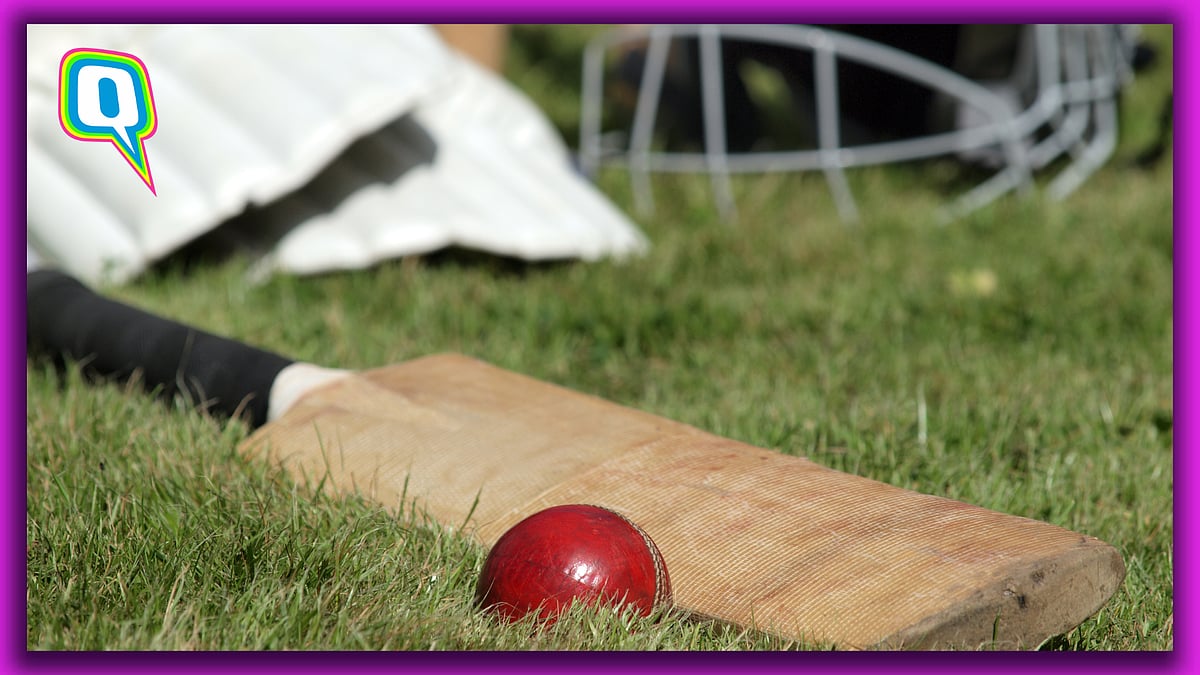 <div class="paragraphs"><p>Fake IPL scam run by a group of con-men in Gujarat duped Russian Punters</p></div>