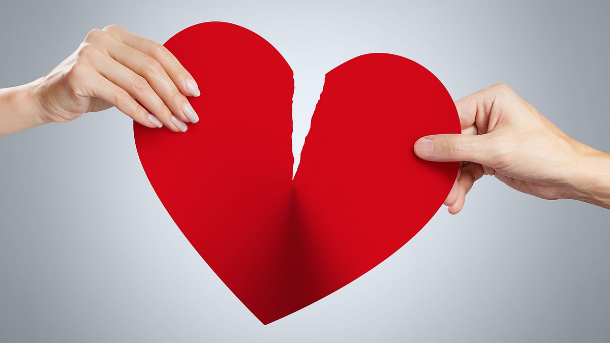 <div class="paragraphs"><p>Sexuality is not an influence. It is the essence of who we are.</p></div><div class="paragraphs"><p><br></p></div>