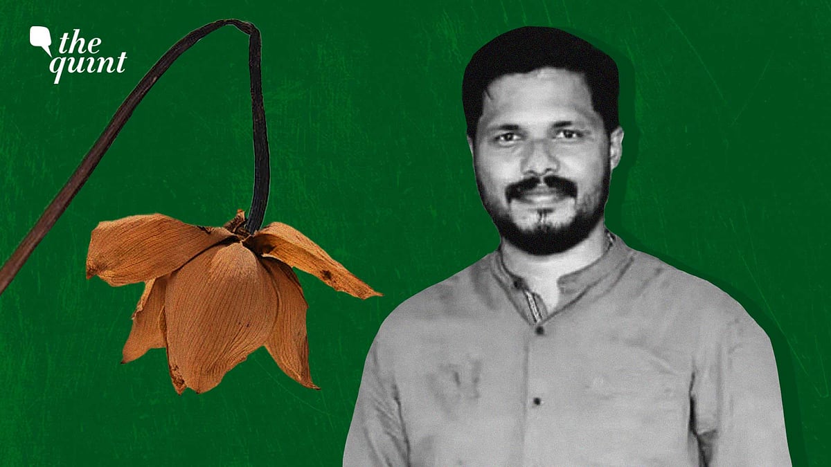 <div class="paragraphs"><p>A large number of workers of the BJP IT Cell and BJYM have resigned from their posts over the murder of Yuva Morcha leader Praveen Nettaru.</p></div>