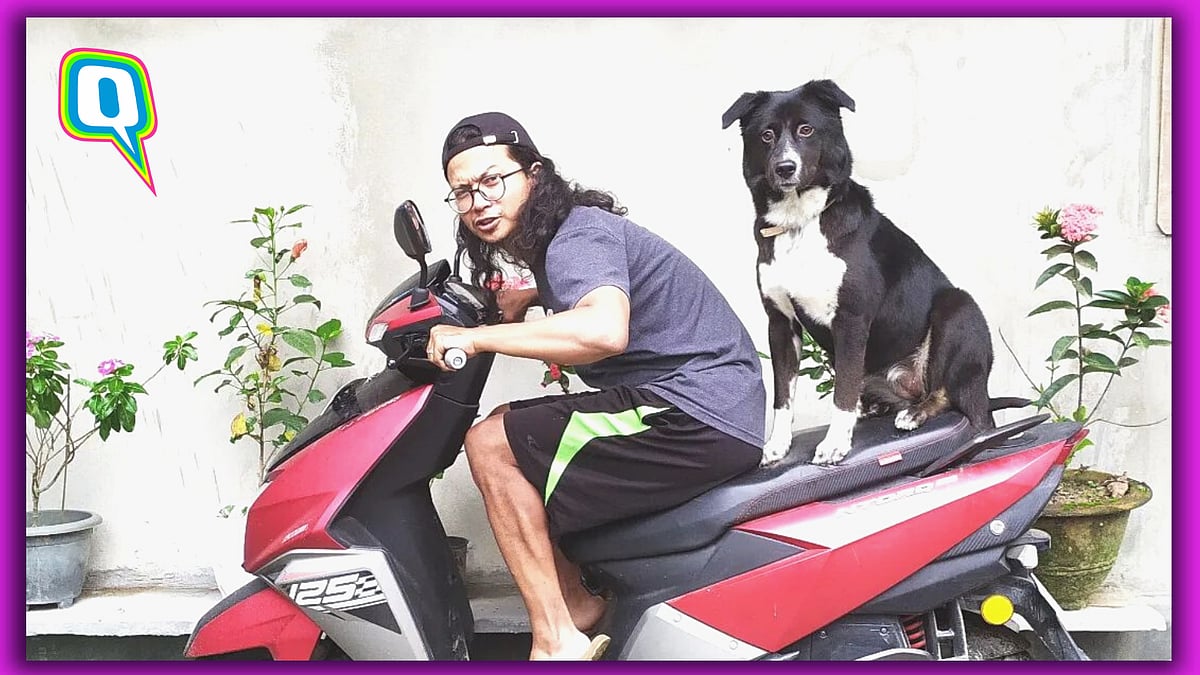 <div class="paragraphs"><p>Bella-Chow travelled over 2,000 Km on a scooty </p></div>