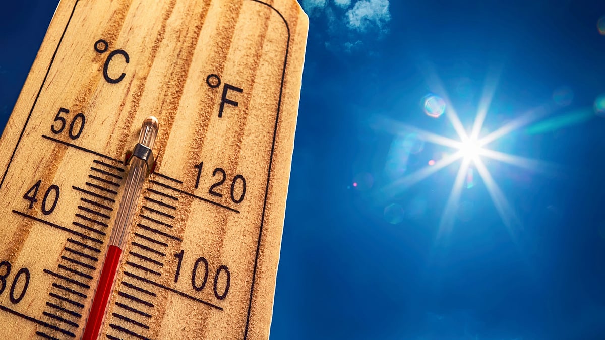 <div class="paragraphs"><p>The report titled 'United in Science' released on Tuesday also cited a recent attribution study which concluded that climate change made this prolonged hot weather in Delhi 30 times more likely and that the same event would have been about 1 degree Celsius cooler in a pre-industrial climate.</p><p>Image for representative purposes. </p></div>