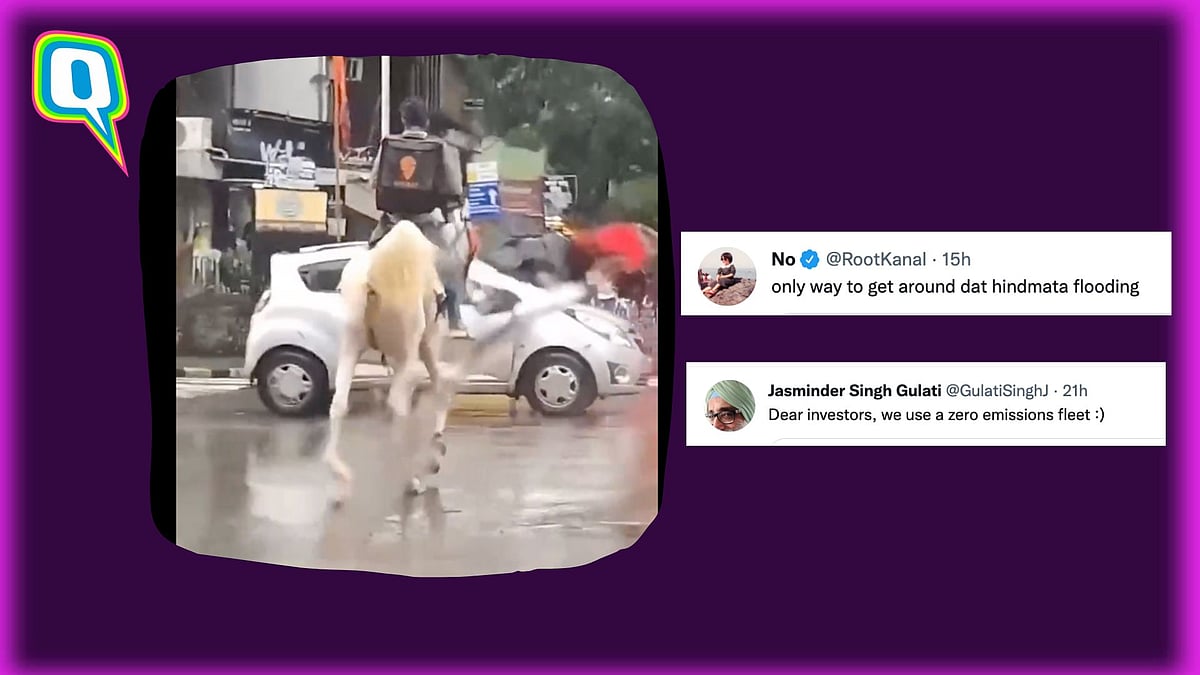 <div class="paragraphs"><p>Mumbai delivery agent carries out order on horse.</p></div>