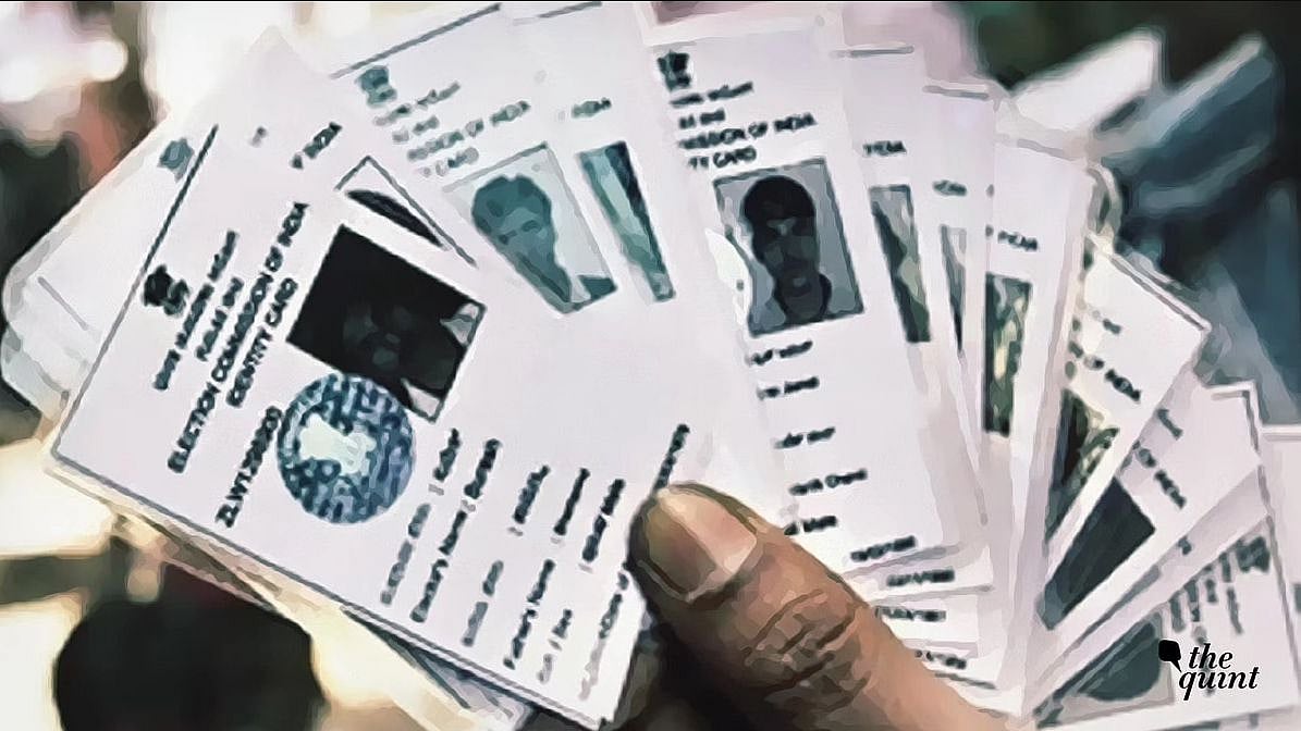 <div class="paragraphs"><p>How can you apply for a voter ID? What documents do you need? Here's all you need to know.</p></div>