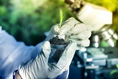 Genome editing can be useful for climate adaptation of crops, say scientists.