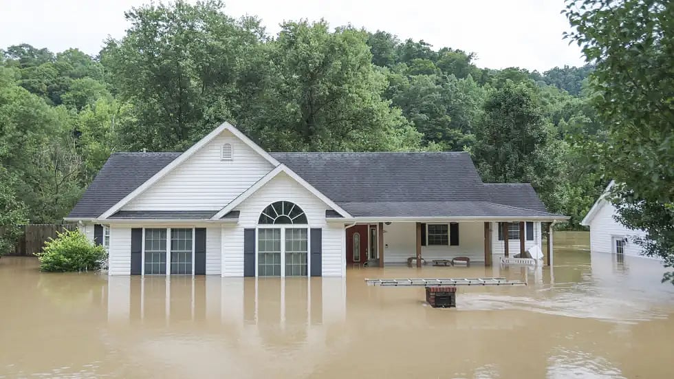<div class="paragraphs"><p>Devastating flash floods affected the Eastern Kentucky region of the United States.</p></div>
