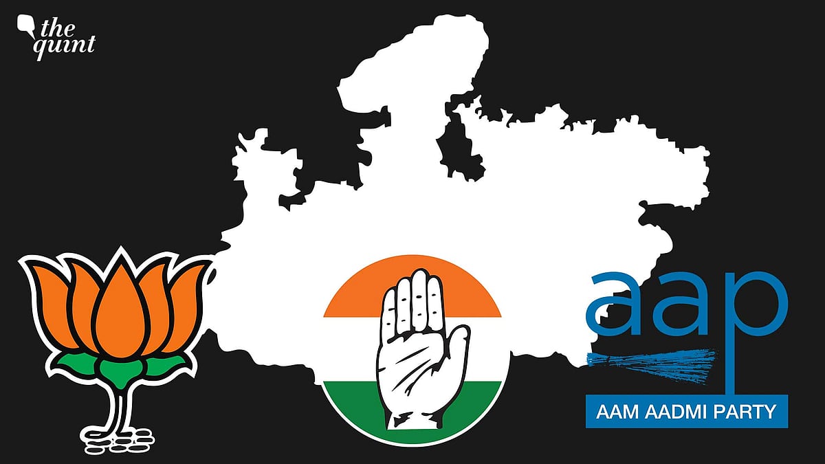 <div class="paragraphs"><p>With the AAP's entry, the political sphere might see a change in Madhya Pradesh, while the entry of the AIMIM could become a major hurdle as a vote-cutting party in the state for the Congress.</p></div>