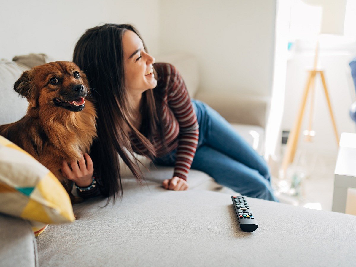 <div class="paragraphs"><p>Happy International Dog Day 2022.</p></div>