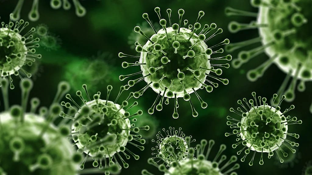 <div class="paragraphs"><p>A new zoonotic virus – Langya Henipavirus – has been discovered in China, with 35 people being infected.</p></div>