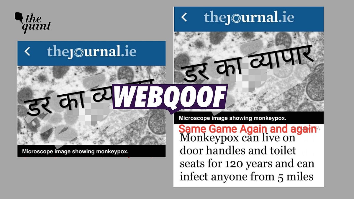 <div class="paragraphs"><p>Fact-Check | A fabricated screenshot from an Irish publication has gone viral to make false claims about monkeypox.</p></div>