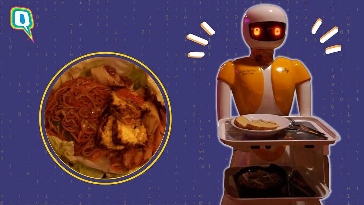 <div class="paragraphs"><p>The Yellow House Robot Restaurant</p></div>