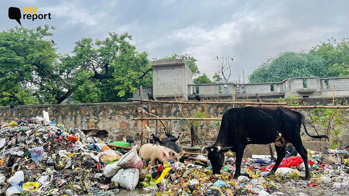<div class="paragraphs"><p>The garbage dump is merely 10 steps away from the Al Shifa Hospital, a school, and fruit stalls.</p></div>