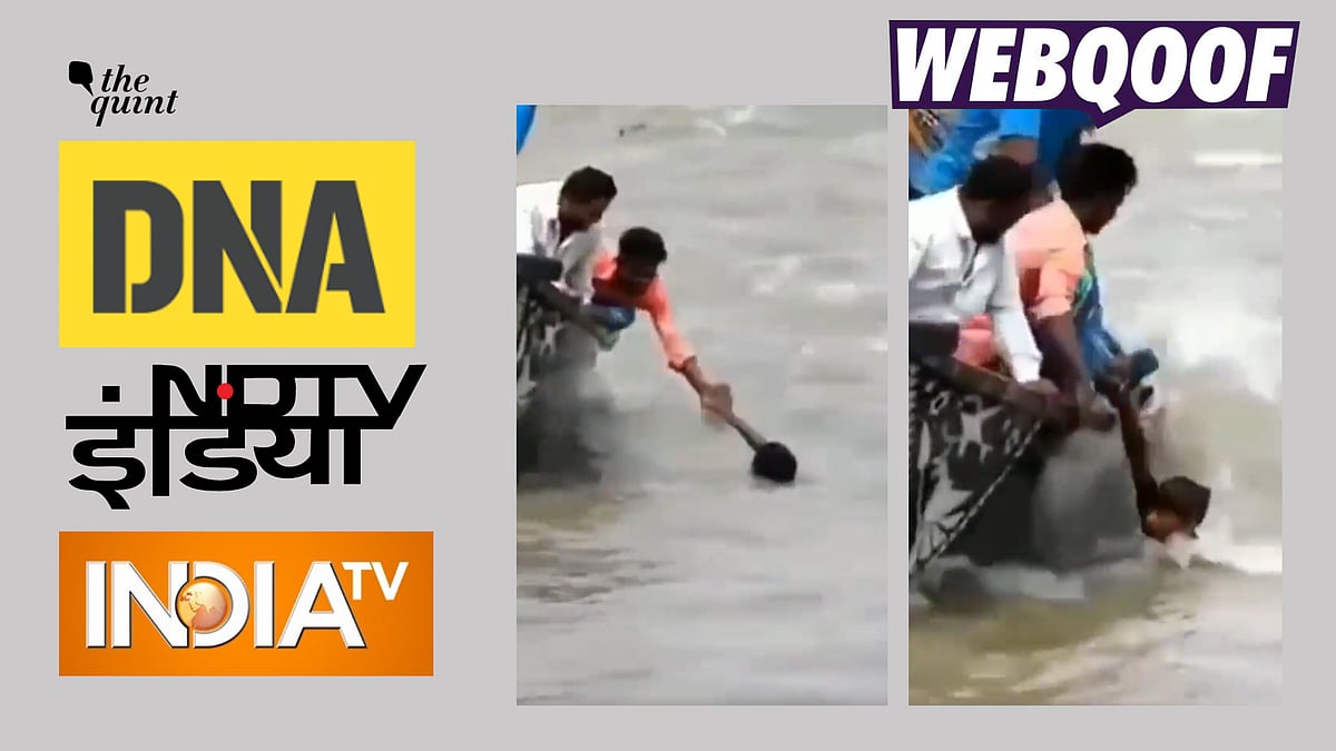 <div class="paragraphs"><p>Fact-check: The claim states that the video is a recent one from Chambal, Madhya Pradesh.</p></div>