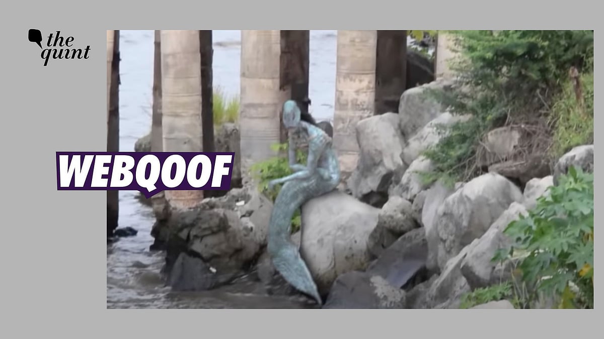 <div class="paragraphs"><p>The claims state that a mermaid was spotted in Telangana. </p></div>