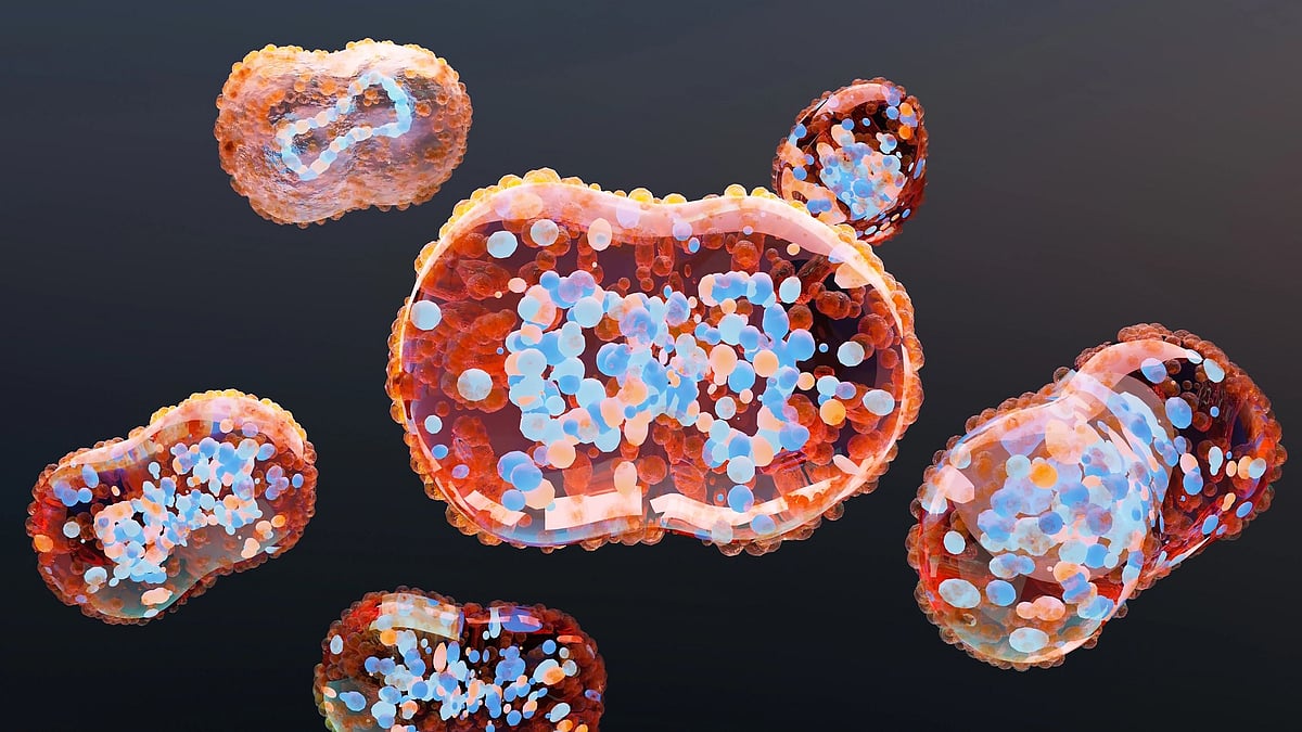 <div class="paragraphs"><p>Monkeypox causes fever, rashes, lesions, and other health problems.</p></div>