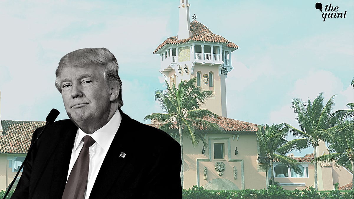 <div class="paragraphs"><p>According to an <a href="https://www.thequint.com/topic/fbi">FBI</a> affidavit released on Friday, 26 August, 14 of the 15 boxes recovered from former United States President <a href="https://www.thequint.com/topic/donald-trump">Donald Trump’s</a> Florida estate contained classified documents. </p></div>