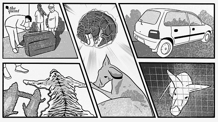 story-hero-img