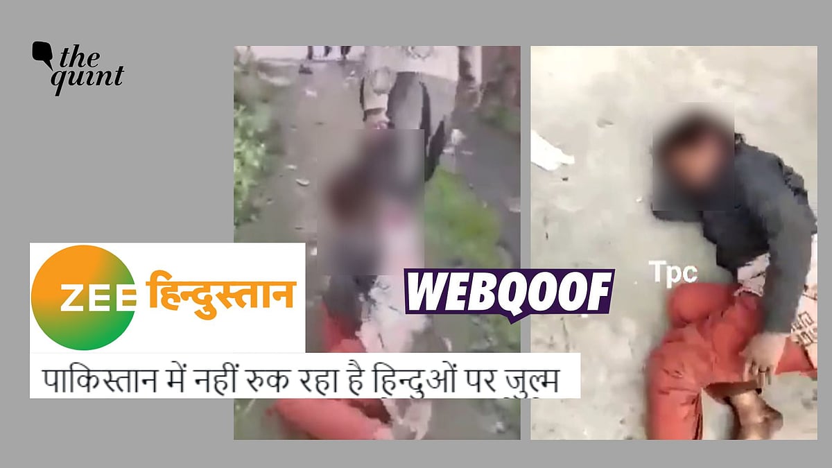 <div class="paragraphs"><p>The claim suggests that the incident had a communal angle, where a Hindu woman was beaten up in Pakistan</p></div>