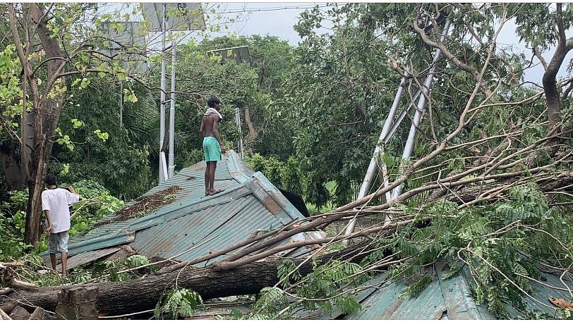 <div class="paragraphs"><p>Deshbandhu Park in Kolkata, West Bengal, post cyclone Amphan.</p></div>