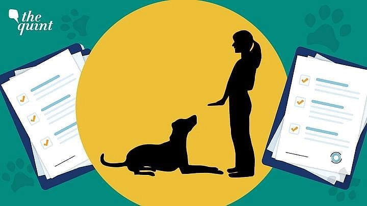 <div class="paragraphs"><p><a href="https://www.thequint.com/fit/underreporting-lack-of-testing-rabies-india">World Rabies Day</a>: India alone accounts for 36 percent of the total world’s death due to rabies.</p></div>