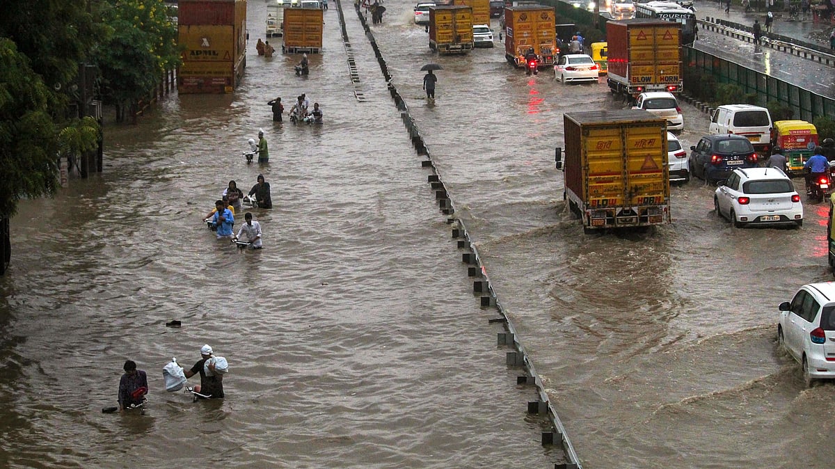 <div class="paragraphs"><p>From Prime Minister Narendra Modi releasing cheetahs in Kuno National Park to incessant rains in Delhi-NCR, here's a glimpse of India this week.</p></div>