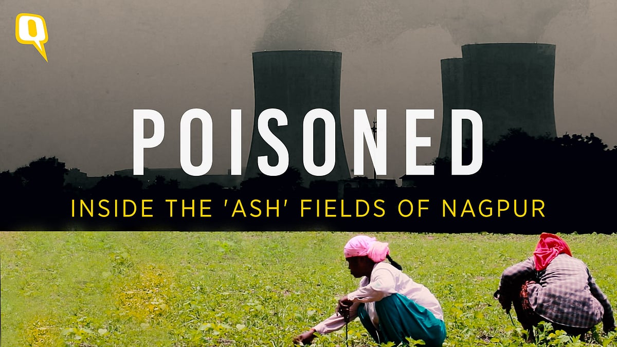 <div class="paragraphs"><p>Coal ash pollution due to the Koradi and the Khaparkheda thermal power plants has pushed farmers and labourers in the neighbouring villages to the edge.</p></div>