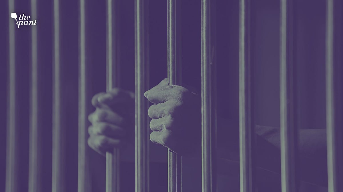 <div class="paragraphs"><p>News media was abuzz with reports of a 75-year-old man being sentenced to <a href="https://www.thequint.com/topic/life-imprisonment">life imprisonment </a>after he was <a href="https://www.thequint.com/neon/gender/convicts-in-gang-rape-and-murder-case-released-bilkis-banos-family-surprised">convicted</a> of <a href="https://www.thequint.com/news/india/old-man-life-imprisonment-digital-rape-minor-noida#read-more">'digital rape</a>' of a three-year-old.</p></div>