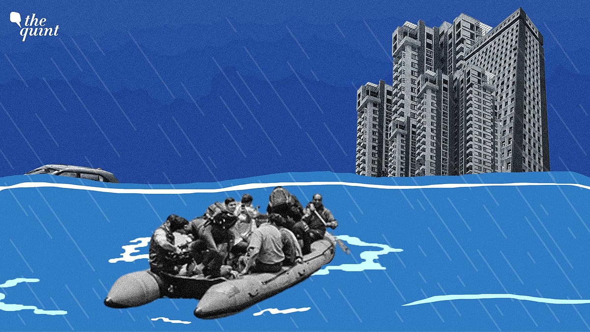 <div class="paragraphs"><p>Stormdrains and drain network failures are the primary cause of Bengaluru's floods, according to urban planners.</p></div>