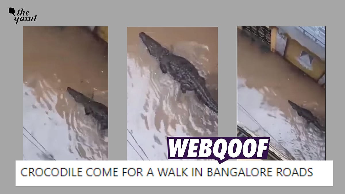 <div class="paragraphs"><p>The claim suggests that the incident is from Bengaluru. </p></div>