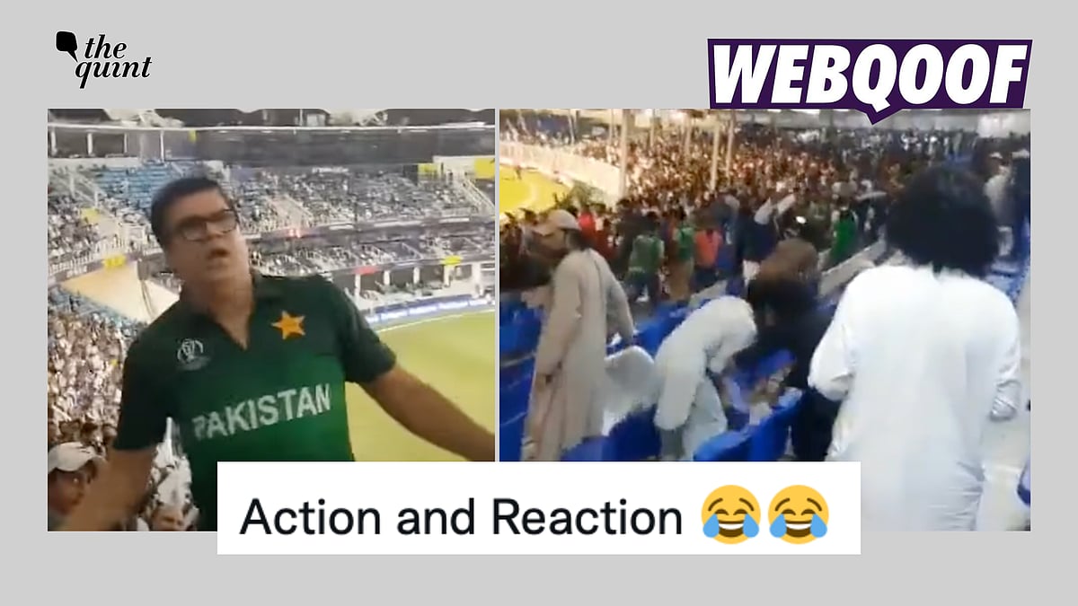 <div class="paragraphs"><p>Both videos were taken almost a year apart and one is not related to another.</p></div>