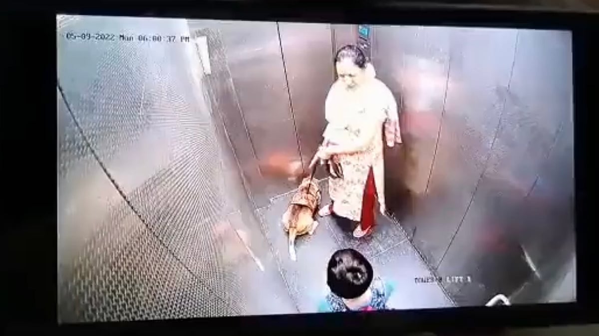 <div class="paragraphs"><p>CCTV footage shows the dog pouncing on the boy and biting him, while the owner looks on and does nothing. </p></div>