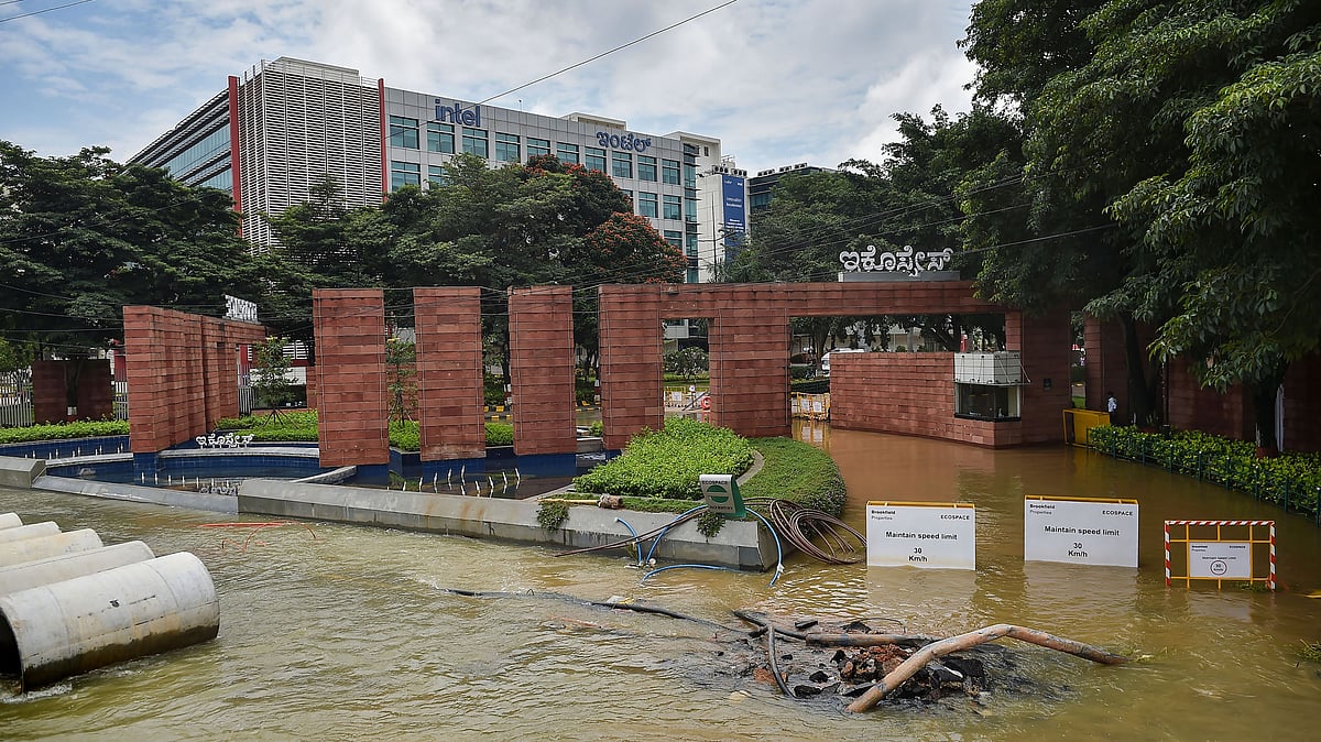 <div class="paragraphs"><p>Businessmen can openly talk about the problems that they are facing due to the rains, Mr Ashwathnarayan had said earlier.</p></div>