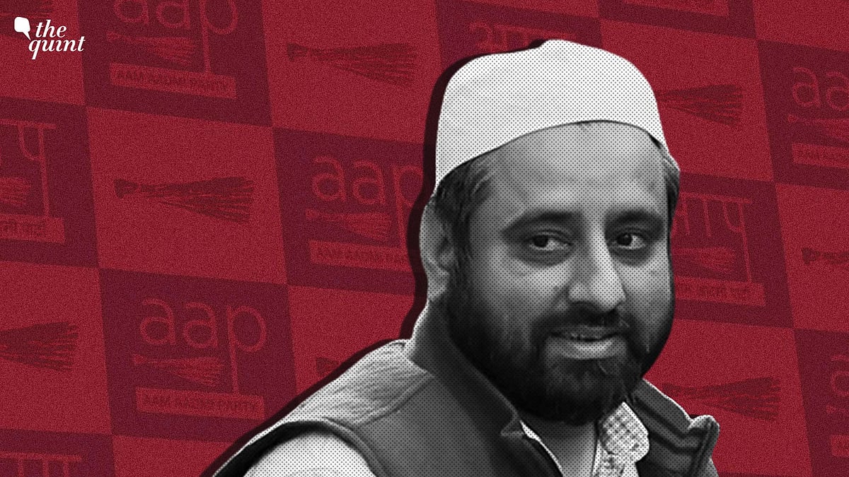 <div class="paragraphs"><p>AAP's Amantullah Khan.</p></div>