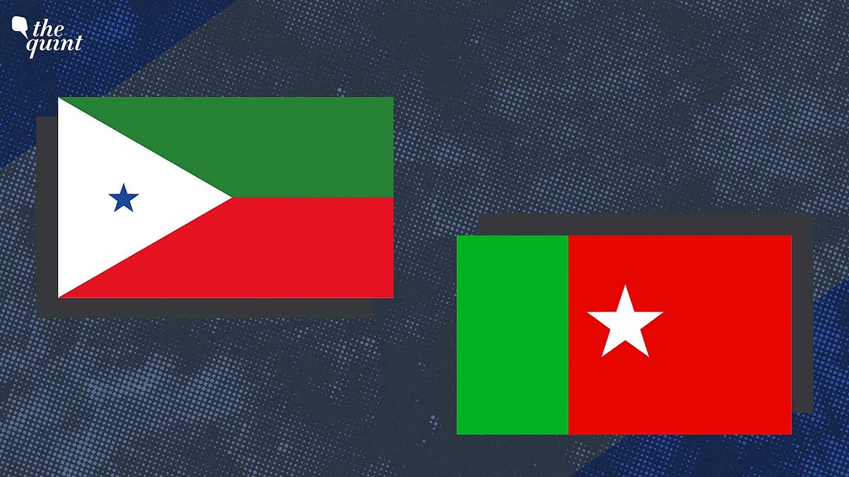 <div class="paragraphs"><p>PFI flag (left), SDPI flag (right). Image used for representation only. </p></div>