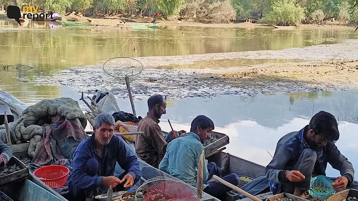 <div class="paragraphs"><p>Fishermen in Kashmir struggle to make ends meet as Wular lake is drying up.&nbsp;</p></div>