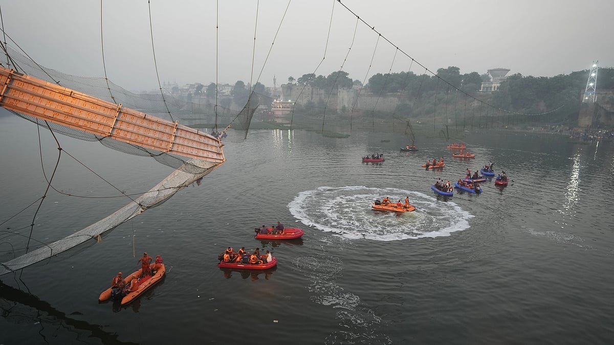 <div class="paragraphs"><p>Search and rescue work is going on as a cable suspension bridge collapsed in Morbi, Gujarat on Monday, 31 October. The century-old cable suspension bridge collapsed into the river Sunday evening, sending hundreds plunging in the water, officials said.</p></div>