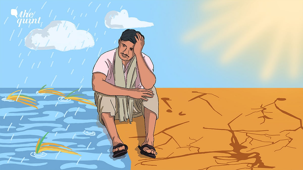<div class="paragraphs"><p>For at least two decades now, farmers in the state—first in Vidarbha and then in the Marathwada region—have taken their own lives, driven by a deadly cocktail of poor crop renumeration, constant losses and mounting debts they can’t pay off.</p></div>