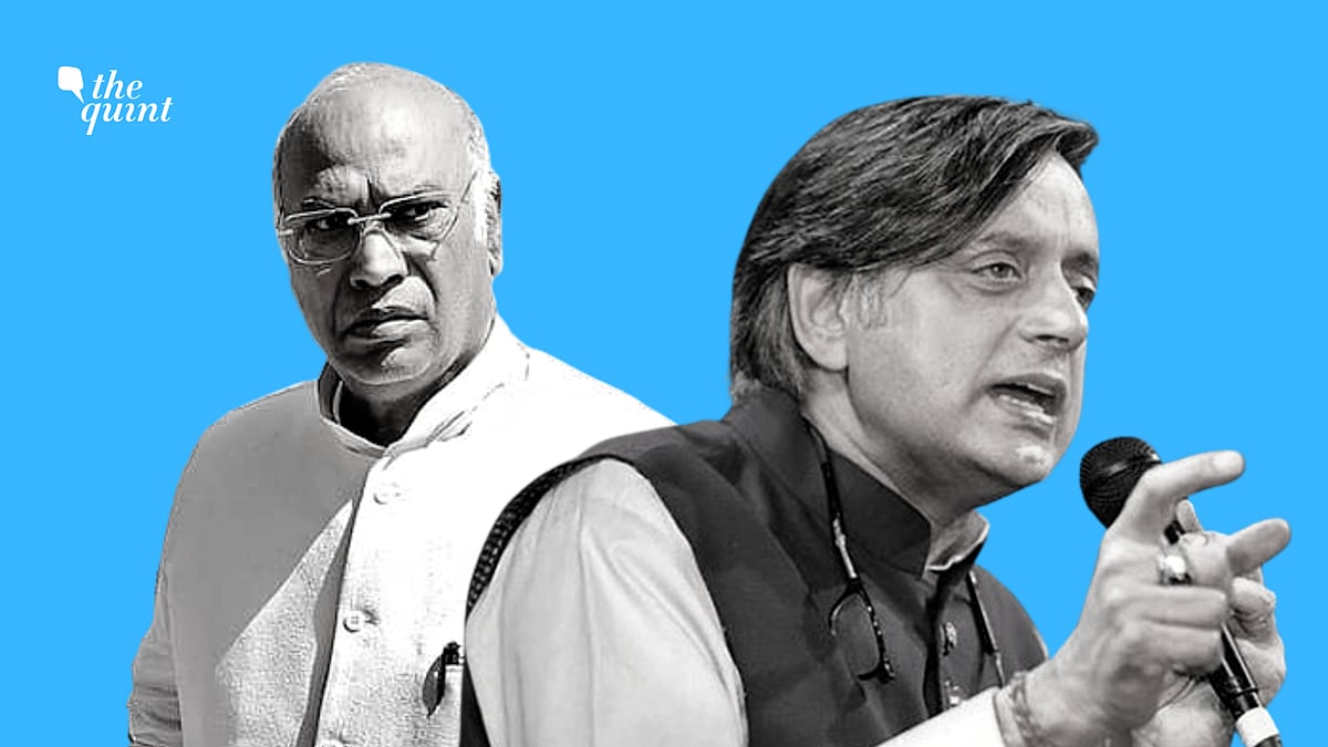 <div class="paragraphs"><p>(Congress President Election 2022)</p></div>