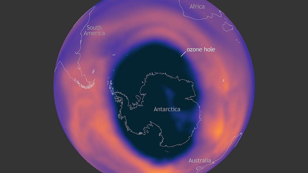 <div class="paragraphs"><p>In backdrop of <a href="https://www.thequint.com/climate-change/world-is-falling-short-of-paris-goals-no-credible-pathway-to-15c-in-place-un">reports</a> that sound alarm for the climate crisis, chief scientist for Earth Sciences at NASA’s Goddard Space Flight Center, Paul Newman said that "steady progress is being made" and the hole in the ozone layer is getting smaller.</p></div>
