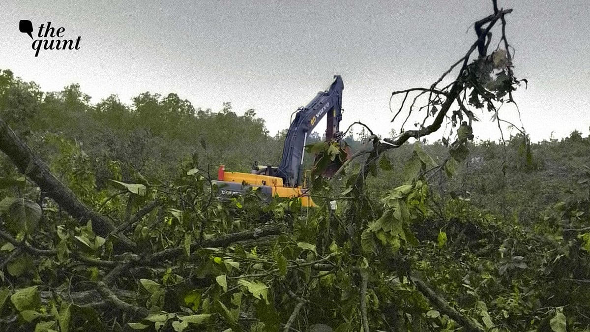 <div class="paragraphs"><p>Despite assurances given by the state government that no new mines will be opened in Hasdeo, the recent tree-felling has led to an intensified tribal struggle to hold onto their lands.&nbsp;</p></div>