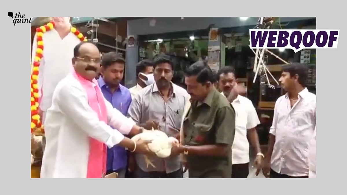 <div class="paragraphs"><p>The video was taken in Warangal, Telangana on Dussehra.</p></div>