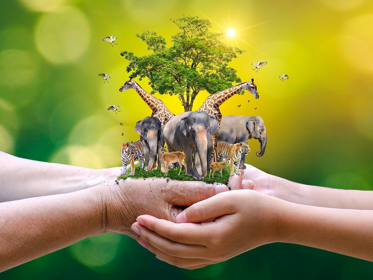 <div class="paragraphs"><p>Know the history, significance and theme of world animal day 2022</p></div>
